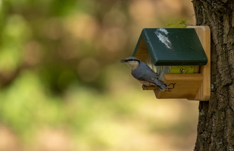 Natuurhuisje in Nunspeet