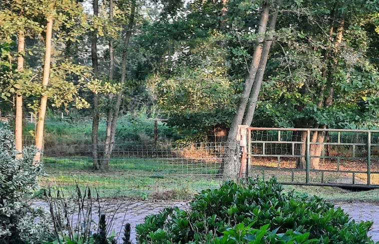 Natuurhuisje in de Lutte