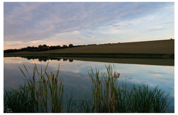 Natuurhuisje in Castelnau-Barbarens