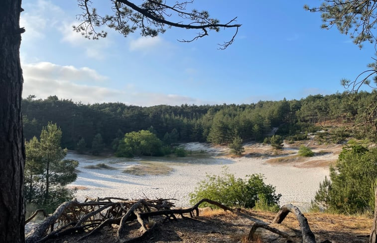 Natuurhuisje in Schoorl