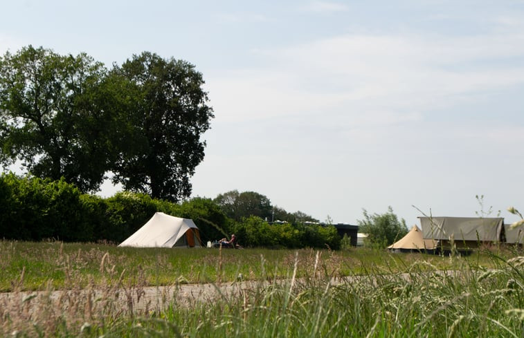 Natuurhuisje in Den Ham (Twente)