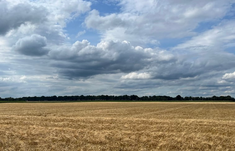 Natuurhuisje in Dwingeloo