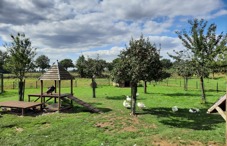 Natuurhuisje in Langenboom