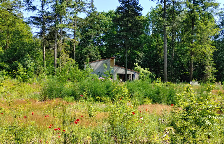 Natuurhuisje in Halle