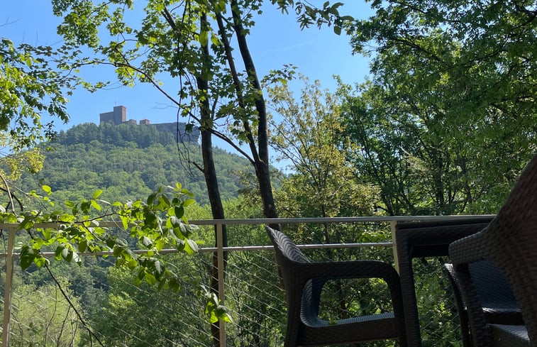 Natuurhuisje in Annweiler am Trifels