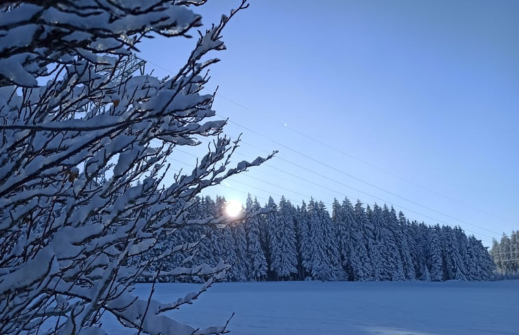 Natuurhuisje in St.Georgen