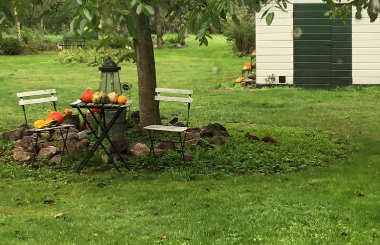 Natuurhuisje in Ruinen