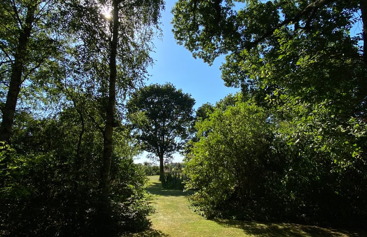 Natuurhuisje in Onstwedde