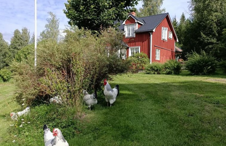 Natuurhuisje in Östra Ämtervik