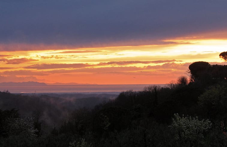 Natuurhuisje in Montescudaio