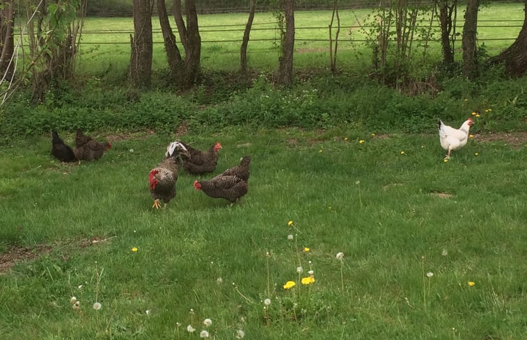 Natuurhuisje in Malleret-Boussac