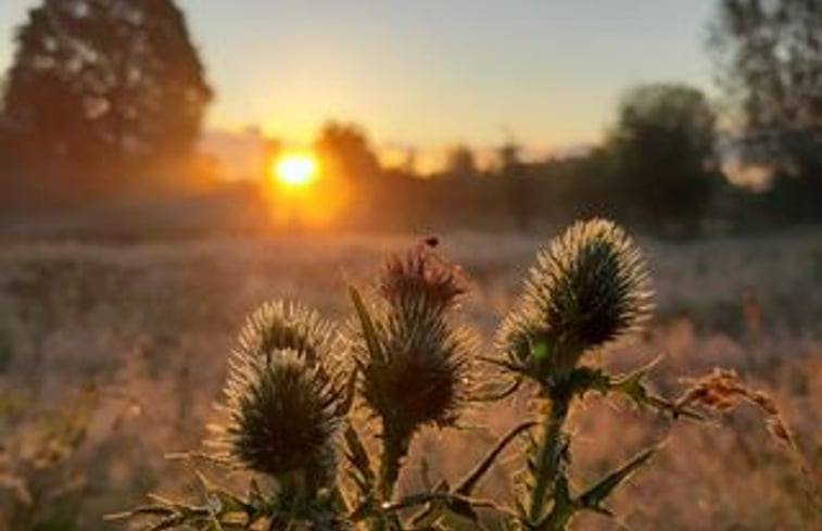 Natuurhuisje in Wesepe