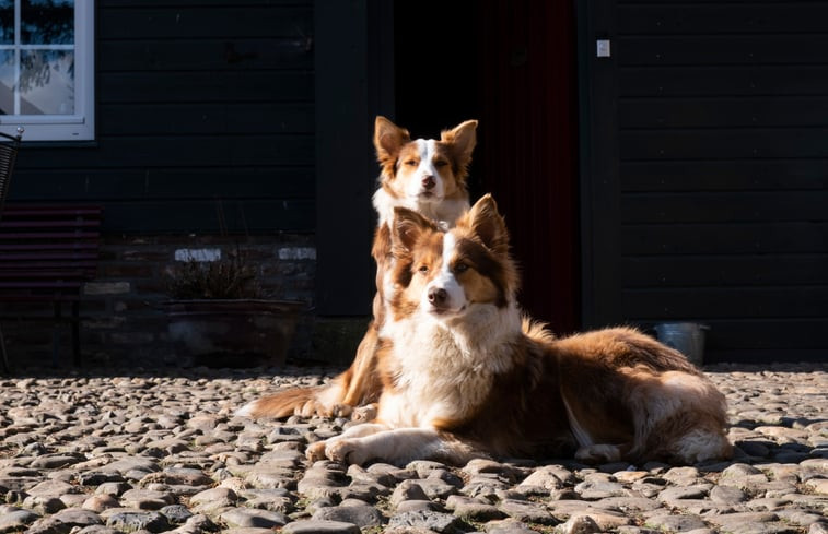 Natuurhuisje in Mesch-Eisden