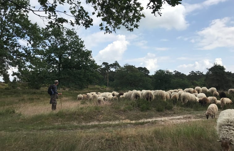 Natuurhuisje in Odoorn