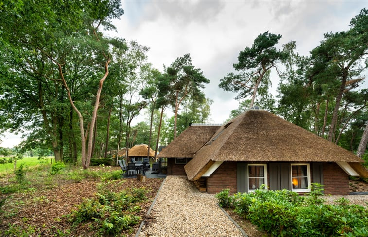 Natuurhuisje in Putten