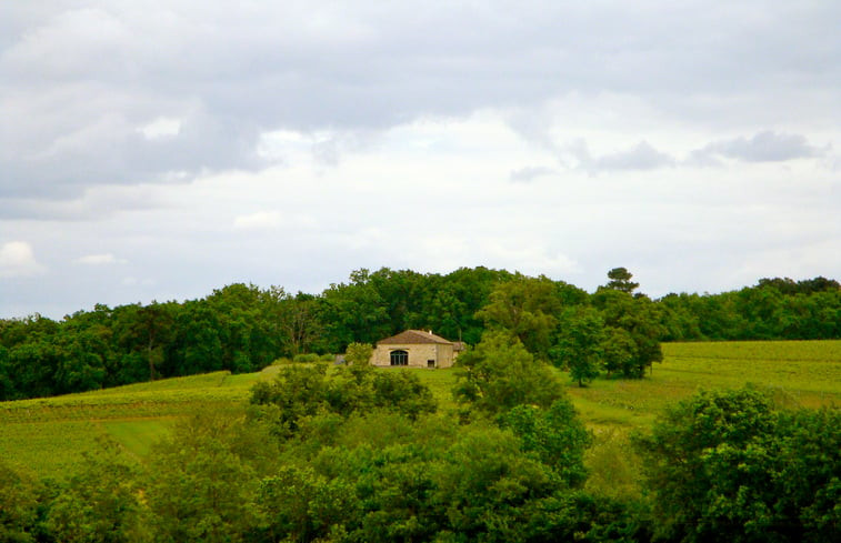 Natuurhuisje in Pellegrue