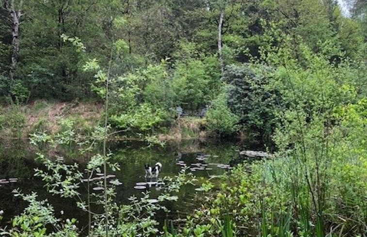 Natuurhuisje in Vilsteren