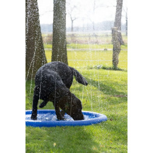 CoolPets Splash Pool Sproeier Per stuk