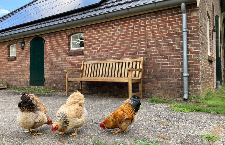 Natuurhuisje in Geesteren