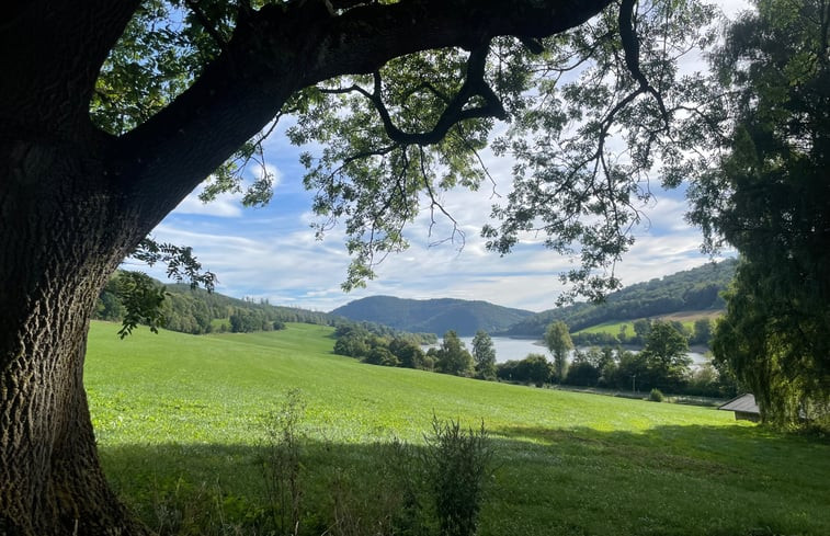 Natuurhuisje in Diemelsee