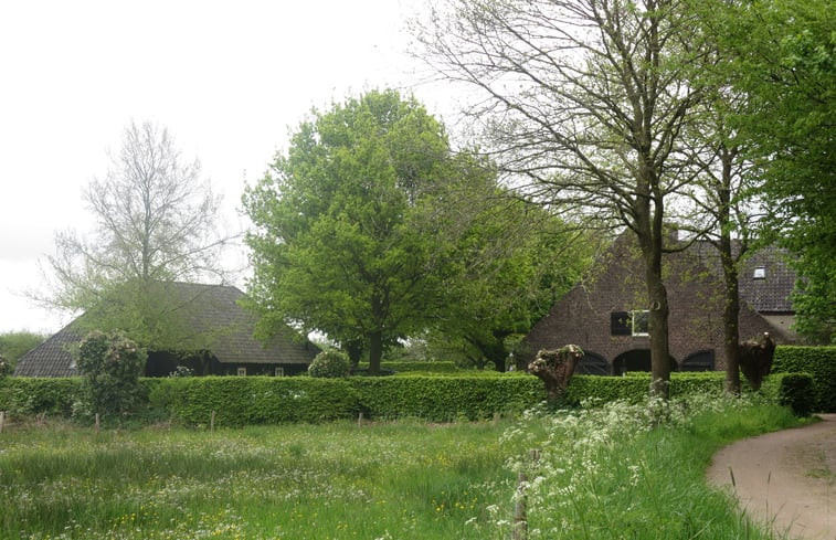 Natuurhuisje in Oeffelt