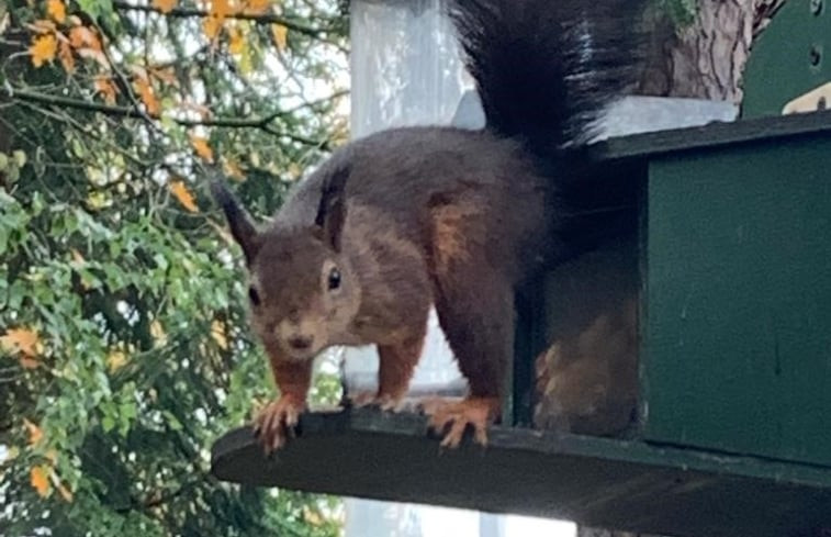 Natuurhuisje in Lochem