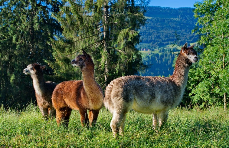 Natuurhuisje in Oberstaufen