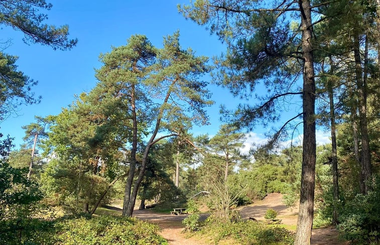 Natuurhuisje in Maarn