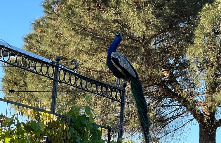 Natuurhuisje in Fabrica Di Roma