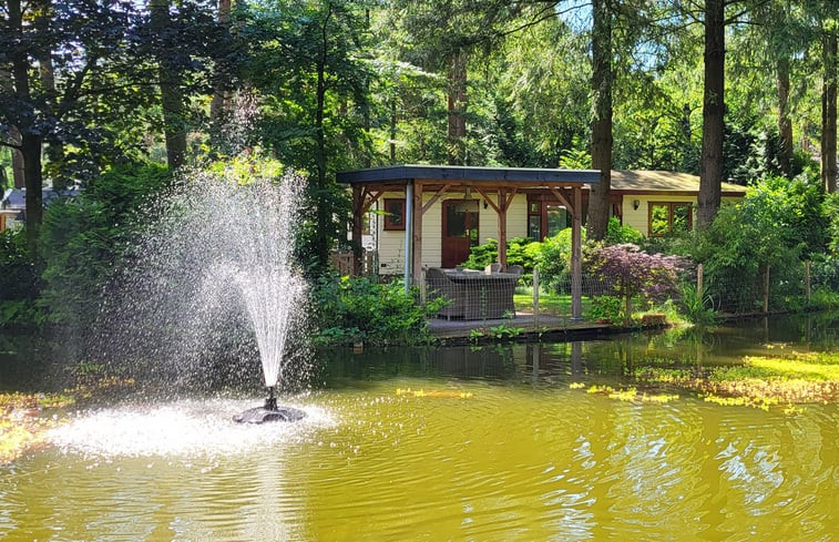 Natuurhuisje in Doornspijk