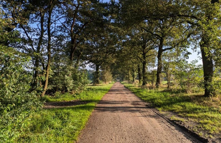 Natuurhuisje in Haarle