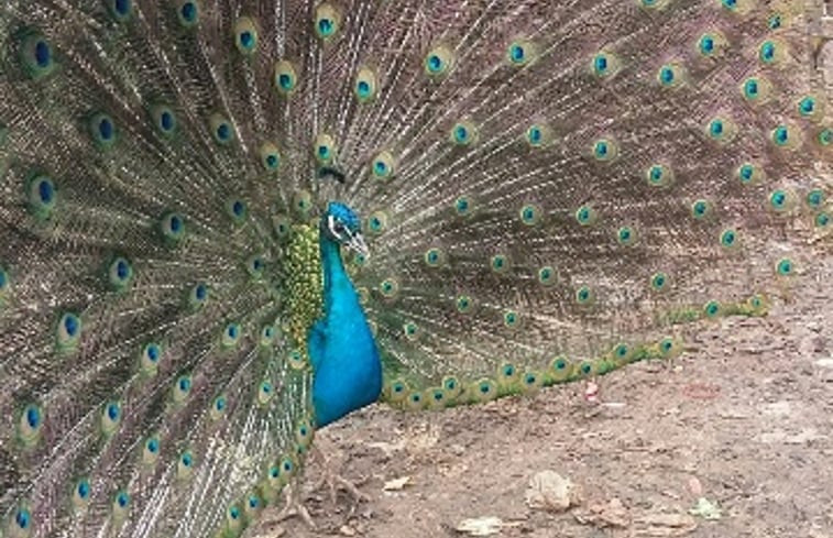 Natuurhuisje in GAETA