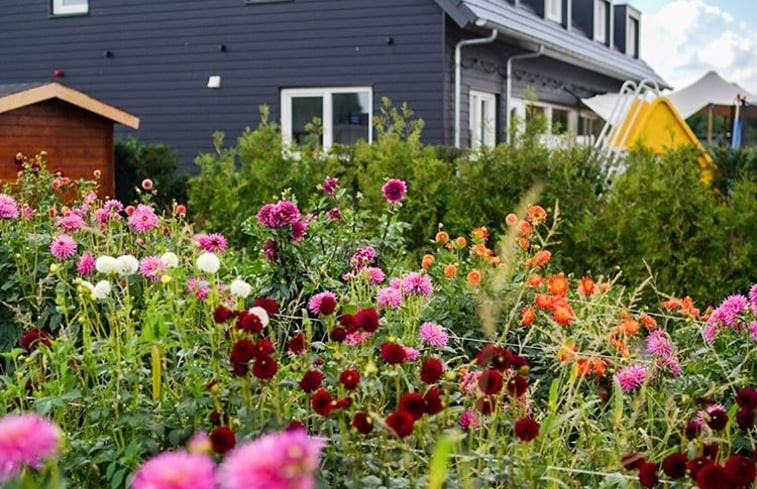 Natuurhuisje in Molenschot