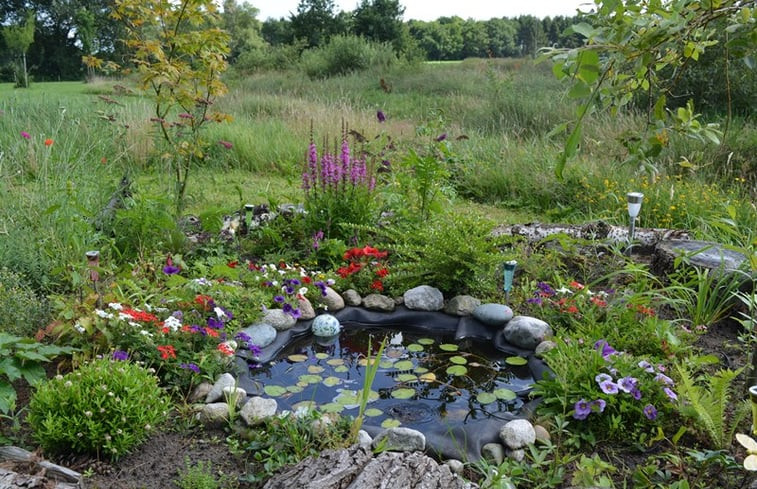 Natuurhuisje in Vledderveen