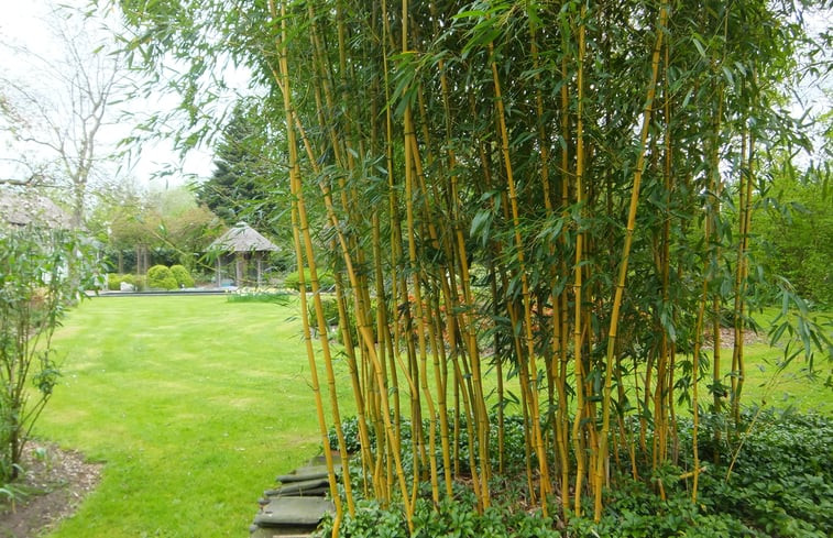 Natuurhuisje in Sint-Oedenrode