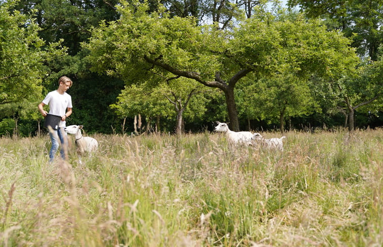 Natuurhuisje in Enschede