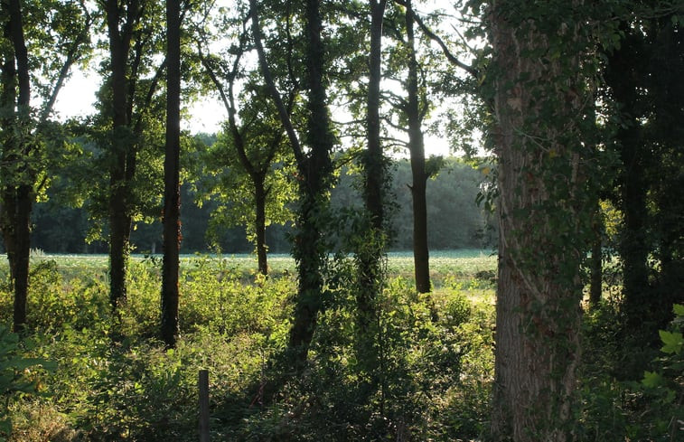 Natuurhuisje in Gieten