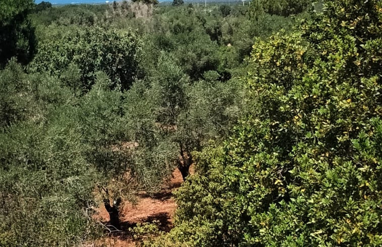 Natuurhuisje in Ostuni