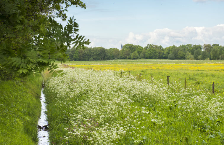 Natuurhuisje in Anderen