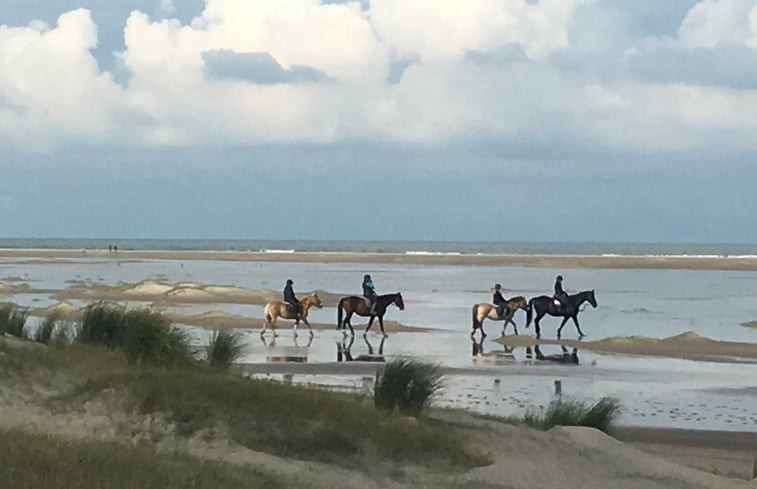 Natuurhuisje in Nieuw-Haamstede