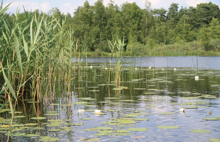 Natuurhuisje in Tyringe