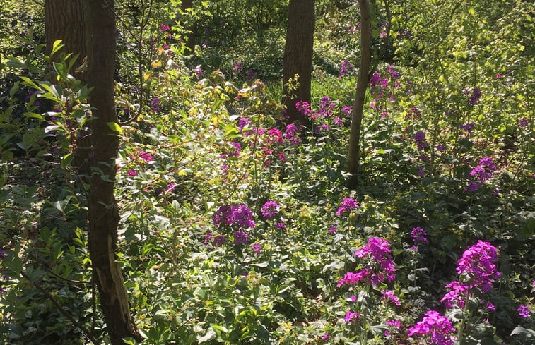 Natuurhuisje in Dalen (dorp)