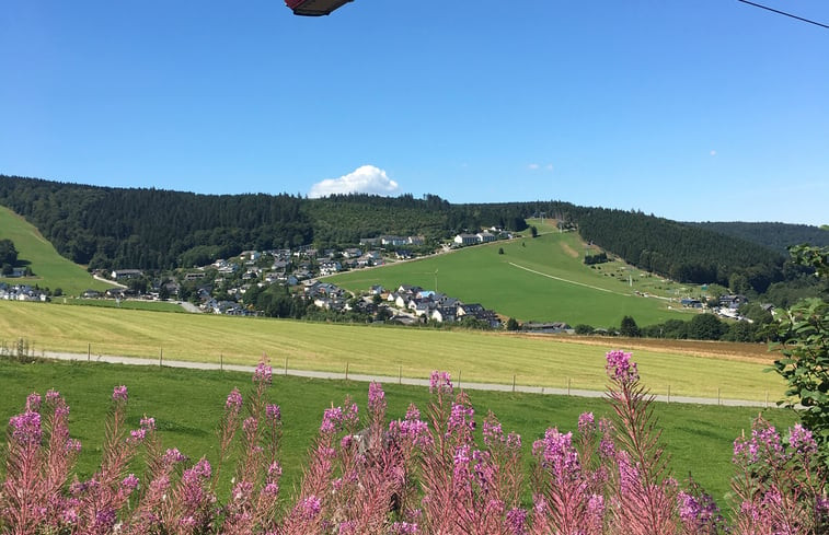 Natuurhuisje in Willingen