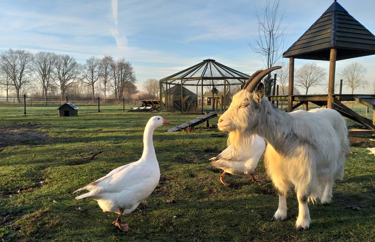 Natuurhuisje in Langenboom