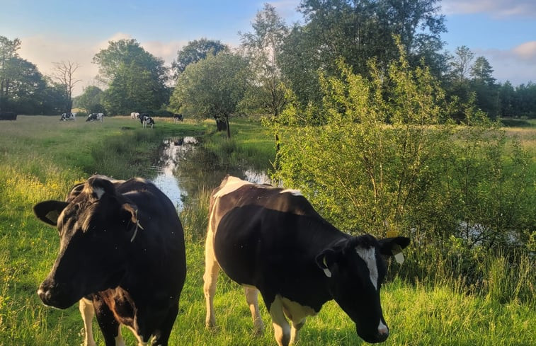 Natuurhuisje in Giethmen