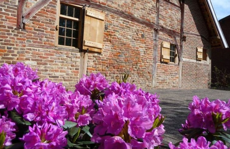 Natuurhuisje in Winterswijk