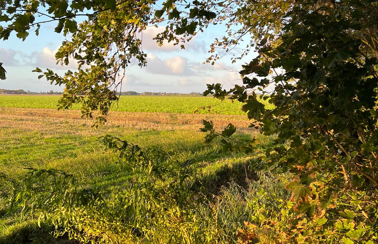 Natuurhuisje in St.-Annaparochie