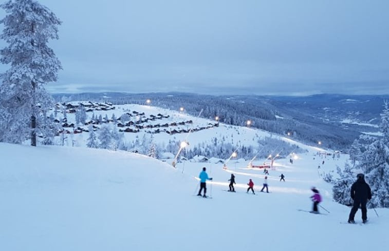 Natuurhuisje in Höljes