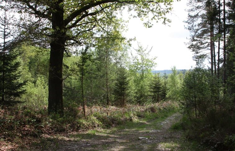 Natuurhuisje in Viroinval