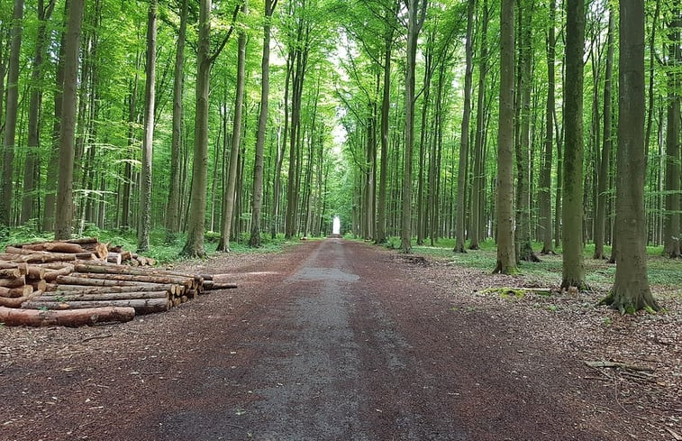 Natuurhuisje in Moressée